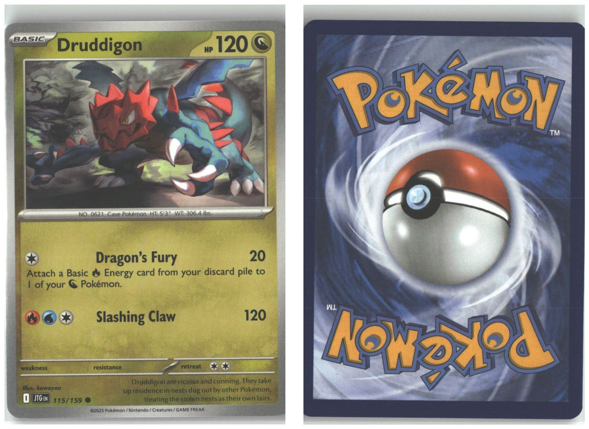 Front + Back scan