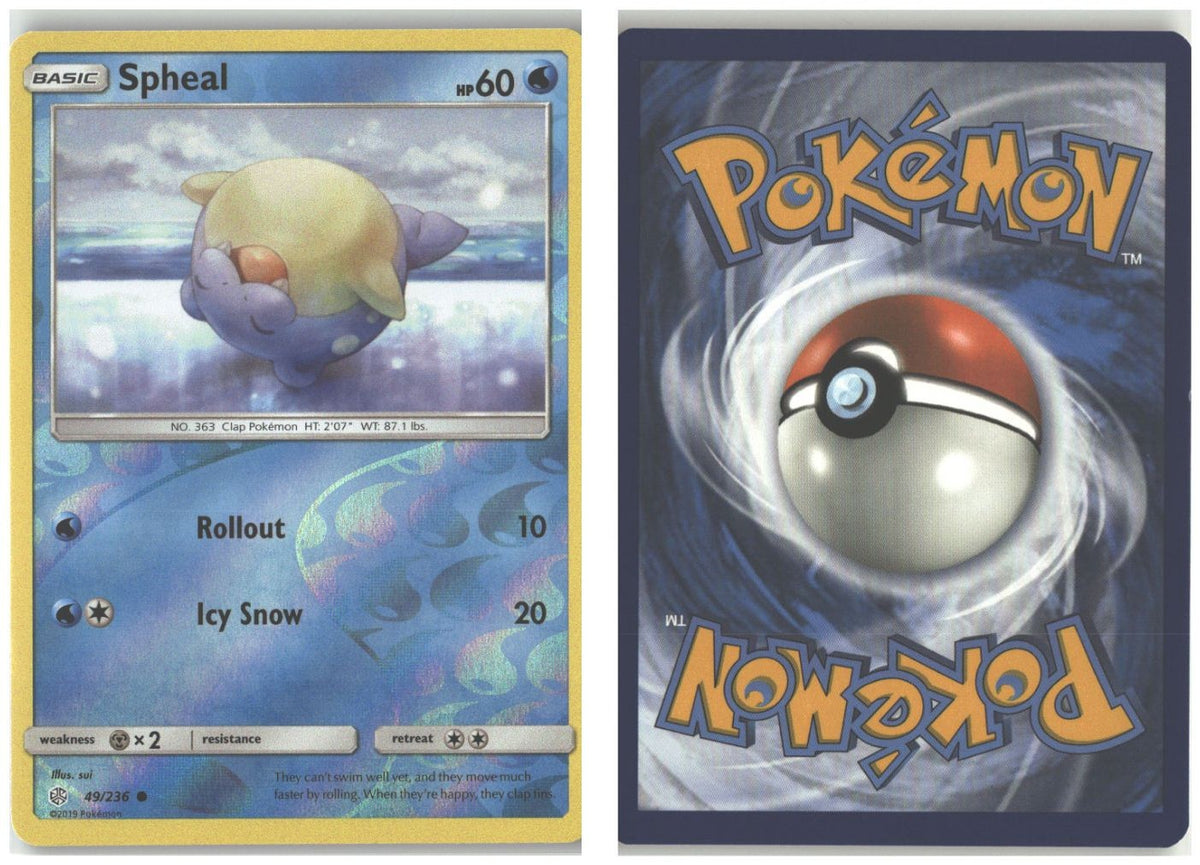 Front + Back scan