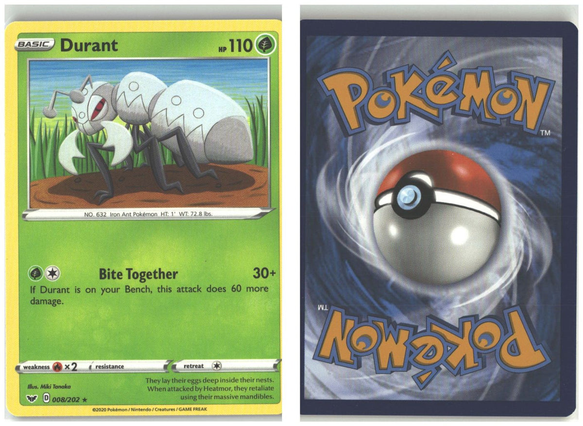 Front + Back scan
