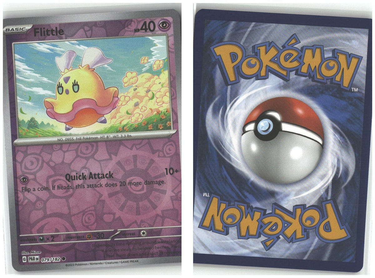 Front + Back scan
