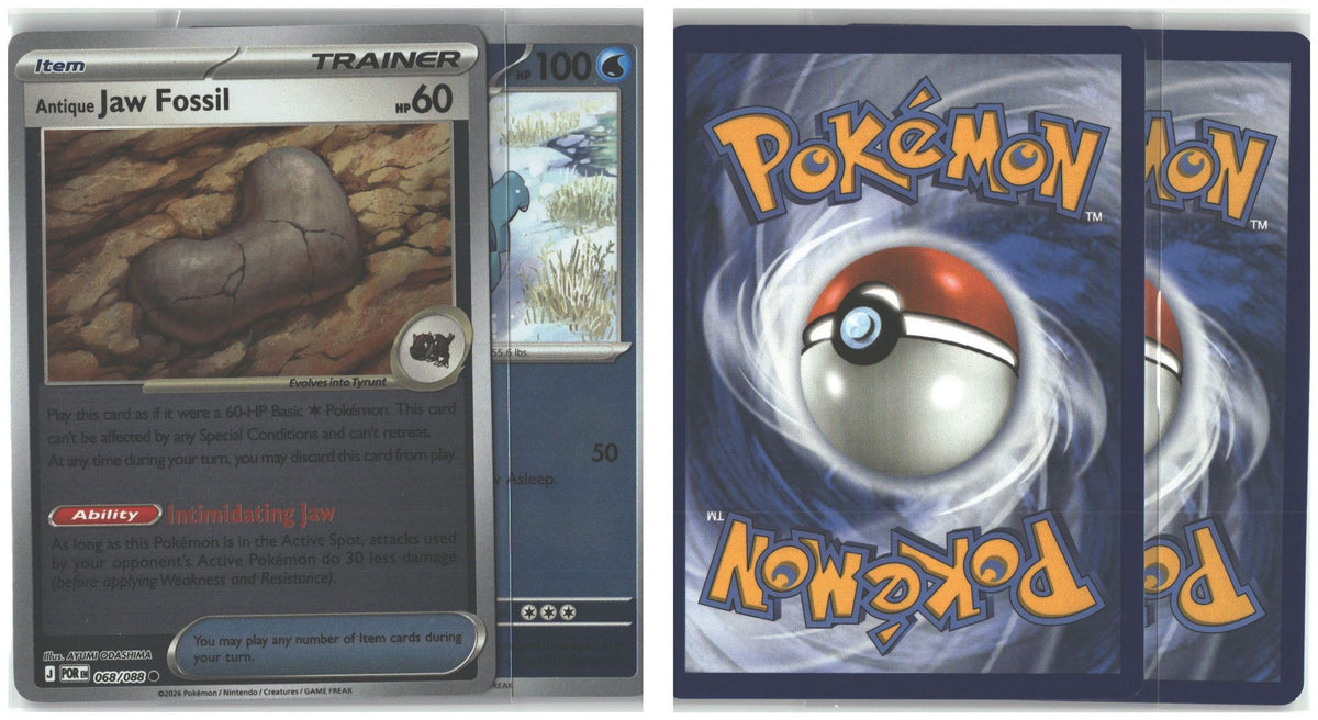 Front + Back scan