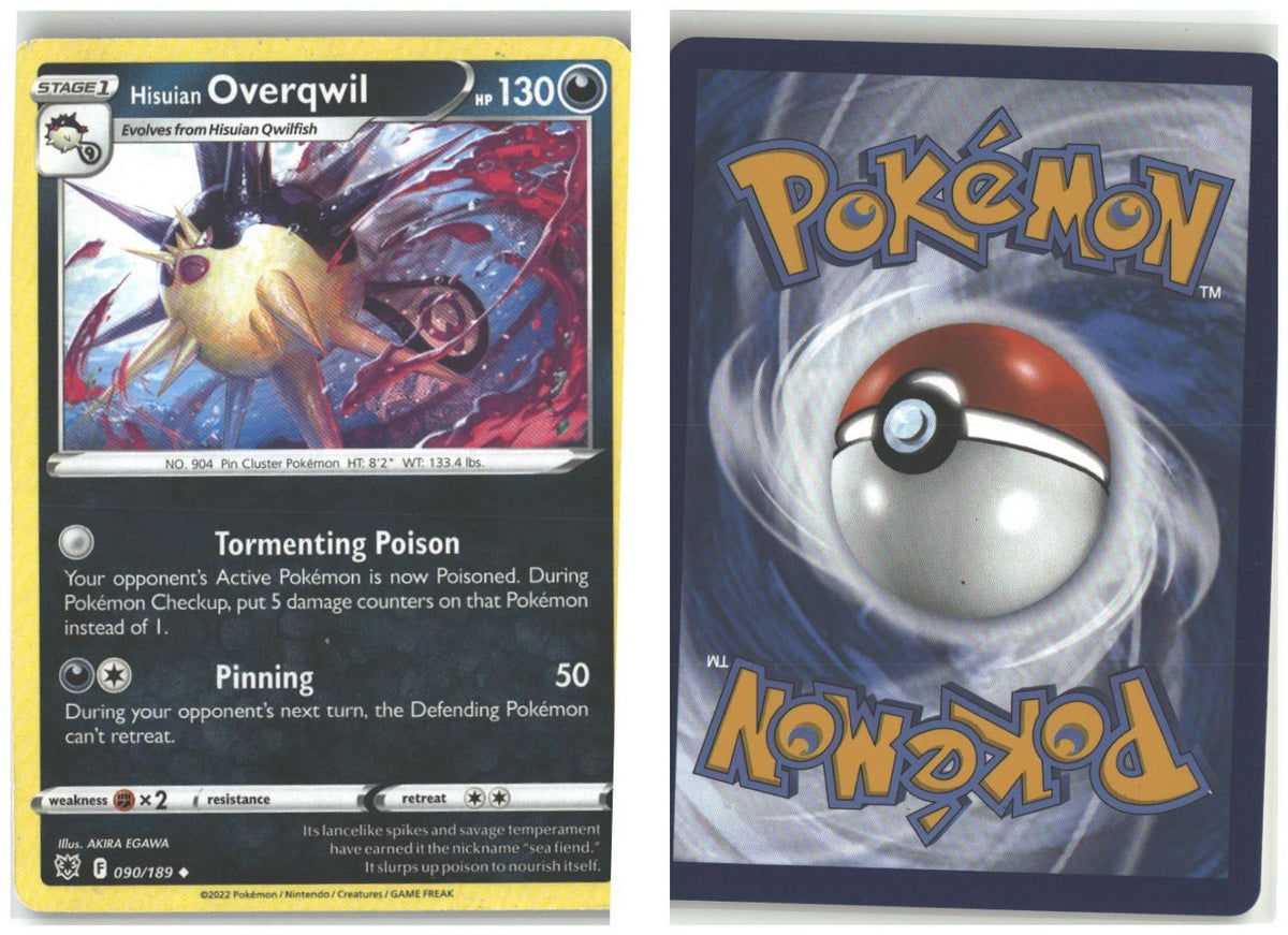 Front + Back scan