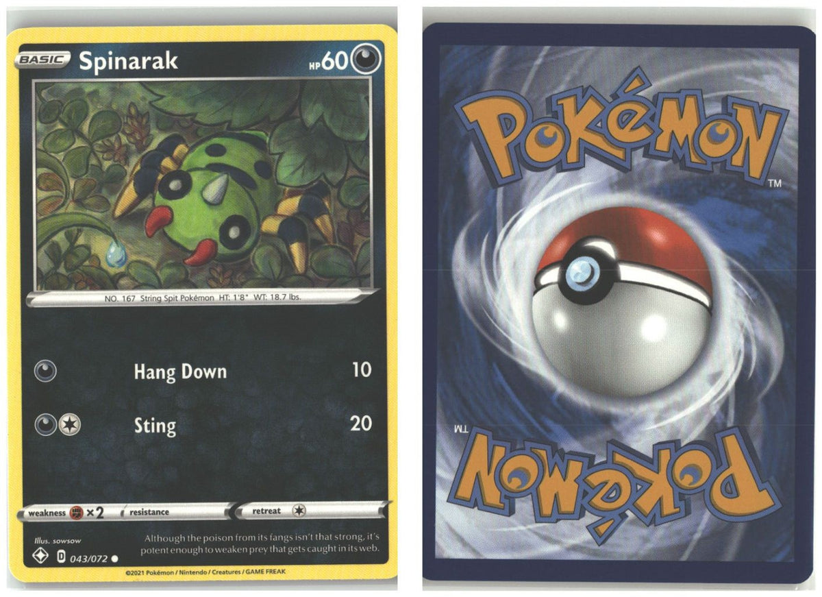 Front + Back scan
