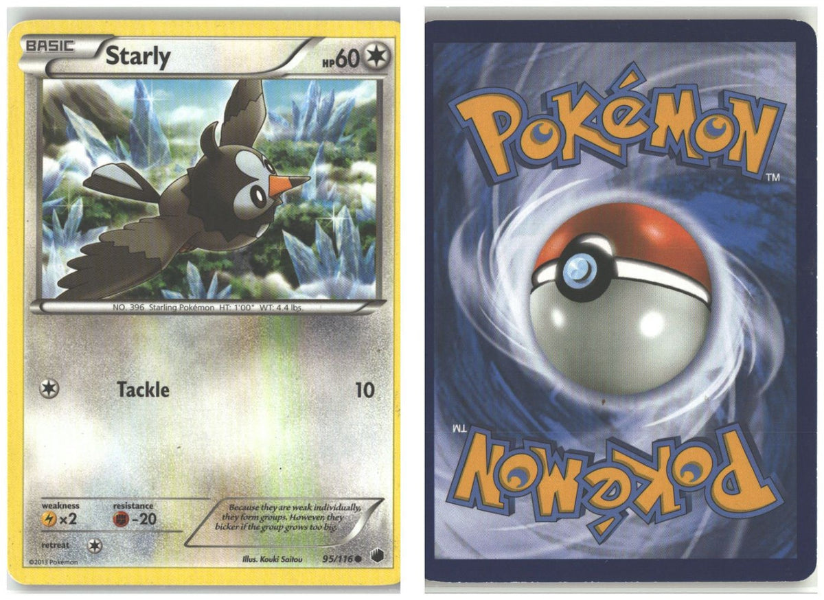 Front + Back scan