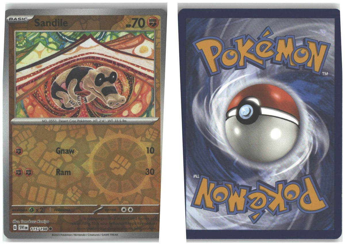 Front + Back scan