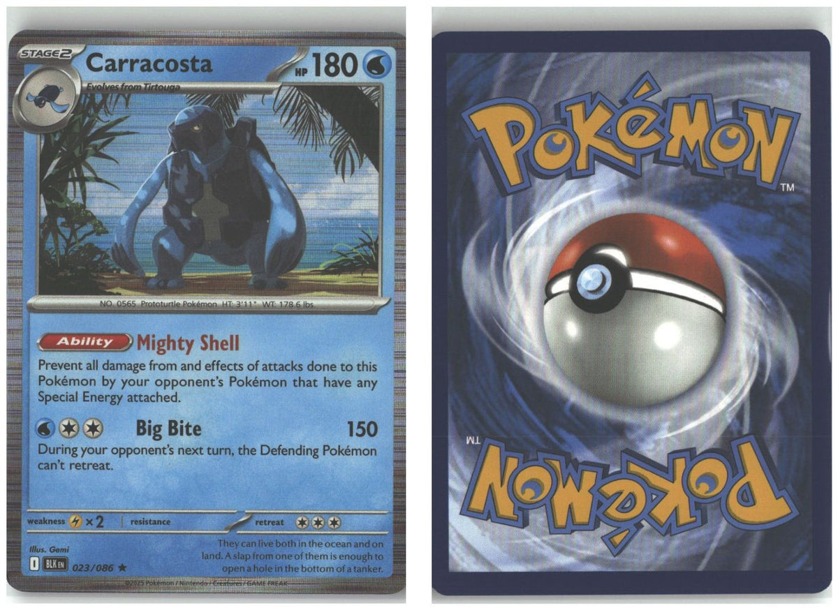 Front + Back scan