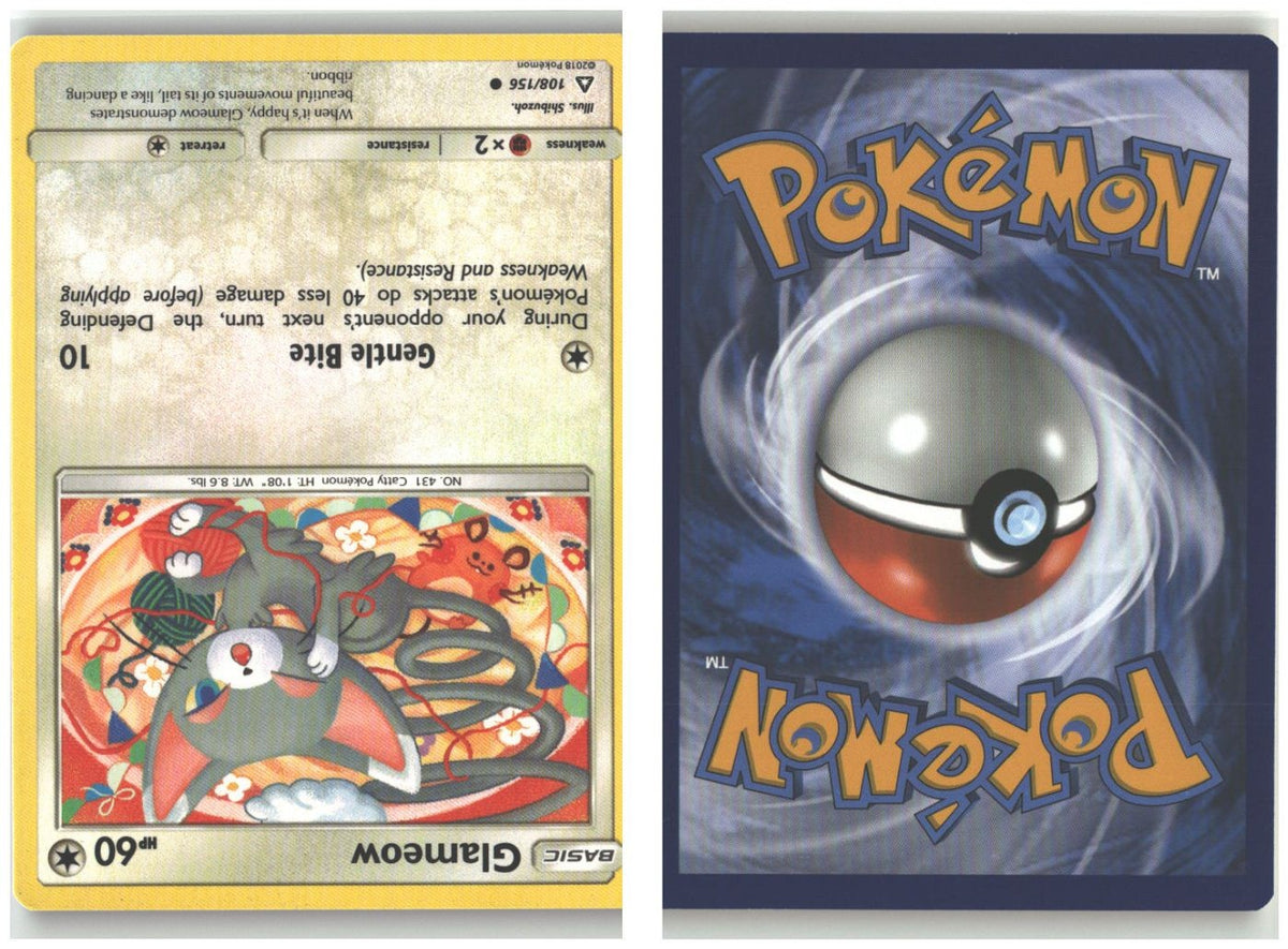 Front + Back scan