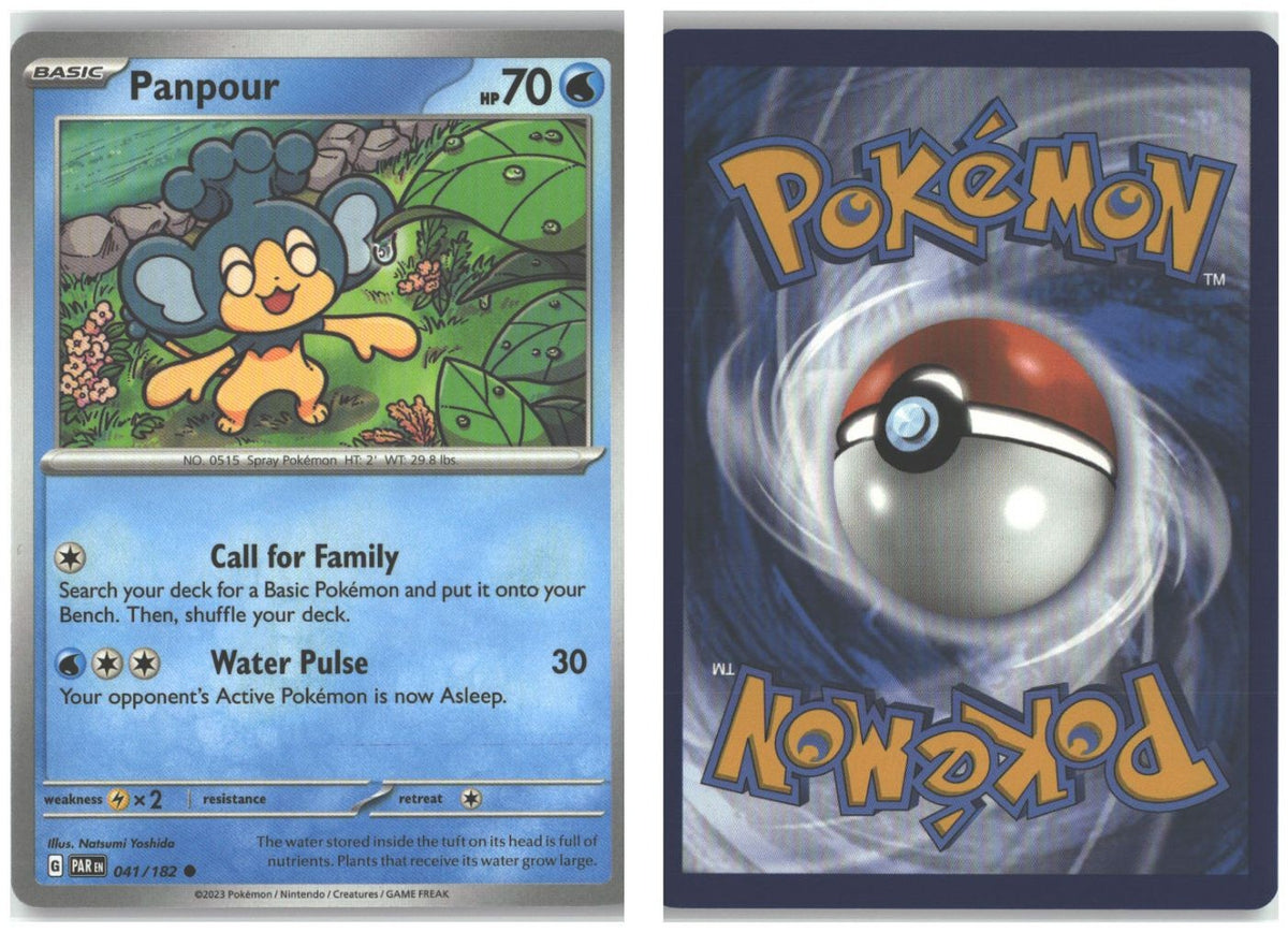 Front + Back scan