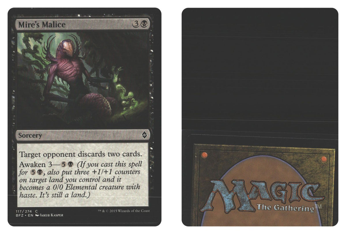 Front + Back scan