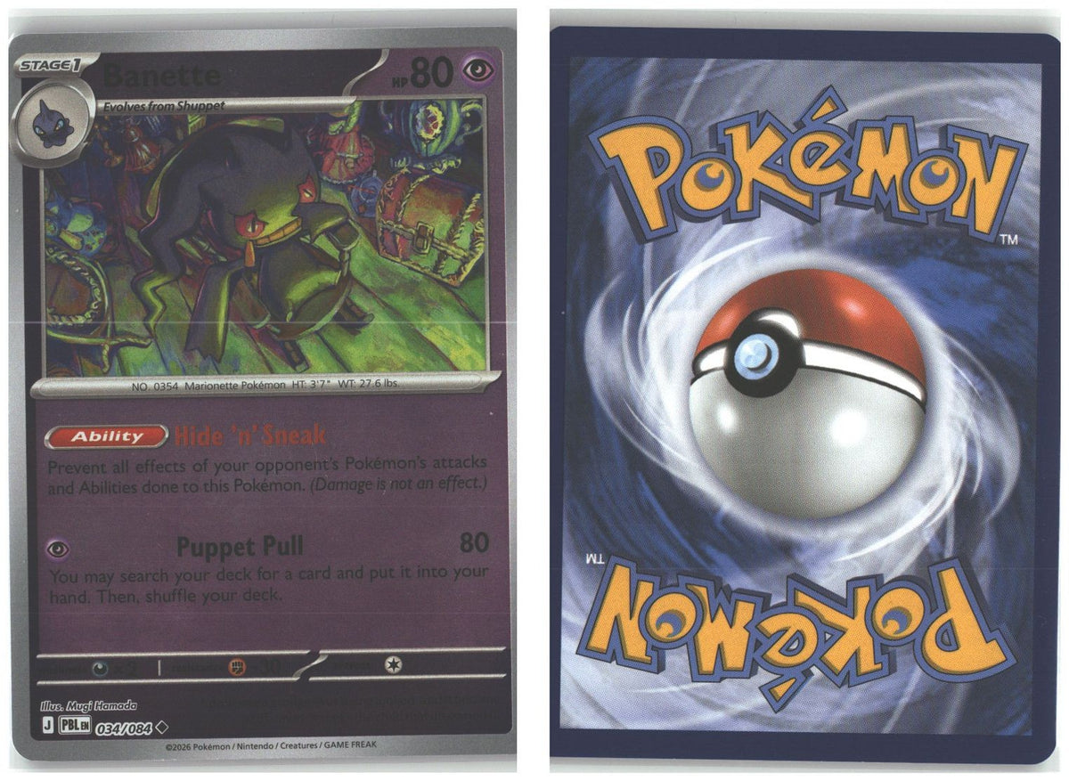 Front + Back scan