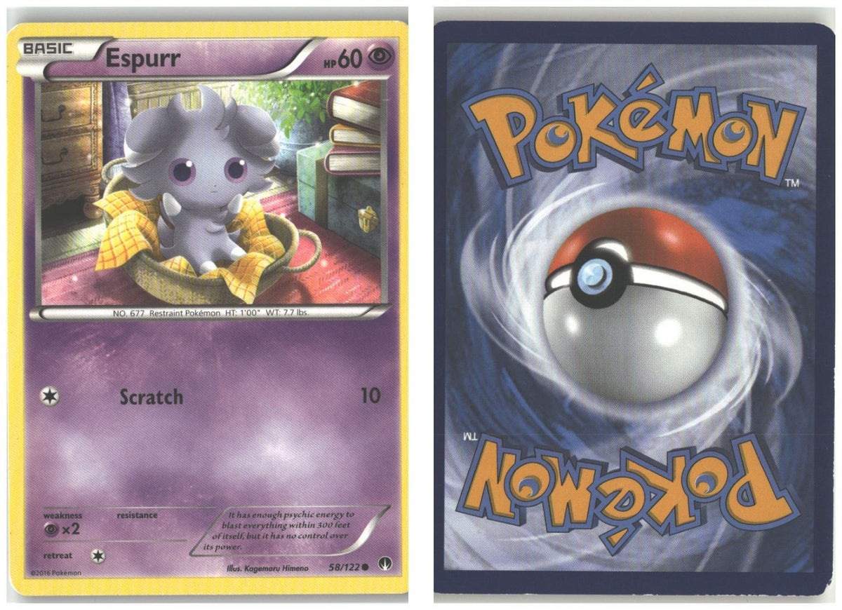Front + Back scan