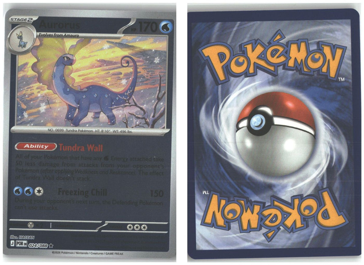 Front + Back scan
