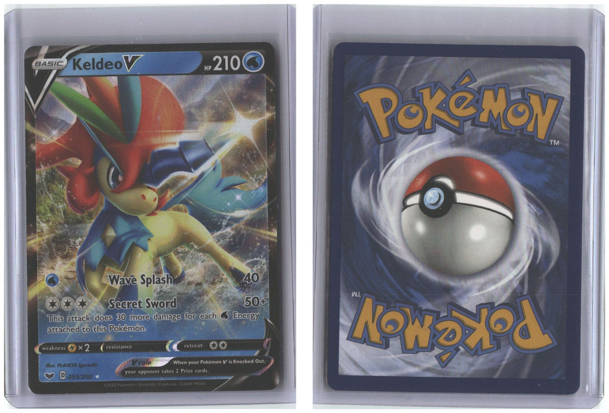Front + Back scan
