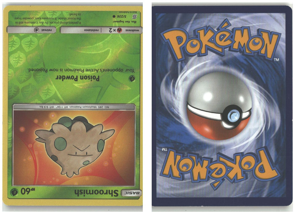 Front + Back scan