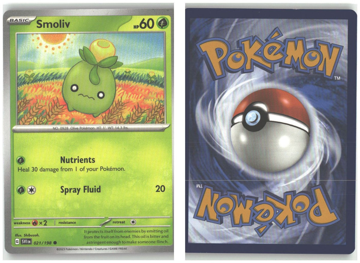 Front + Back scan