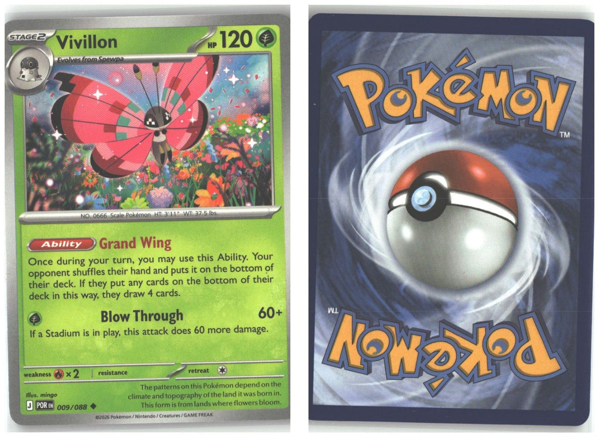 Front + Back scan