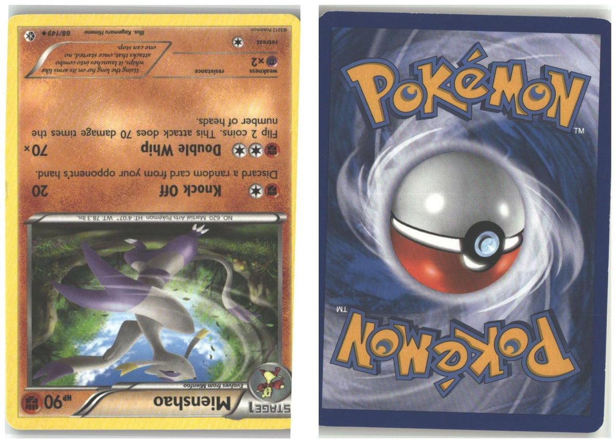 Front + Back scan