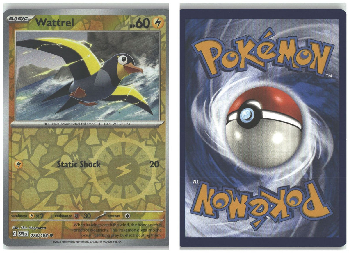 Front + Back scan