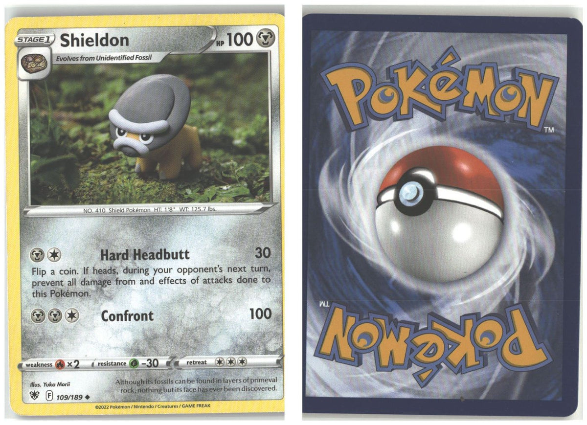 Front + Back scan
