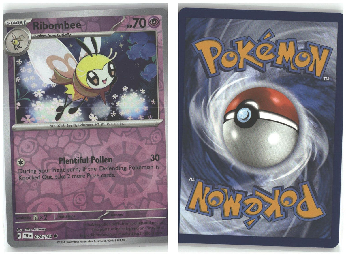 Front + Back scan