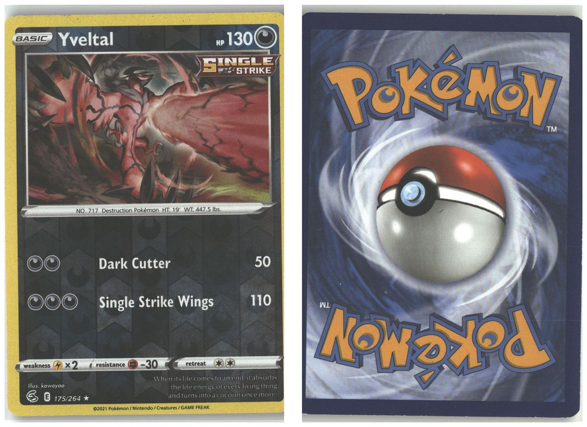 Front + Back scan