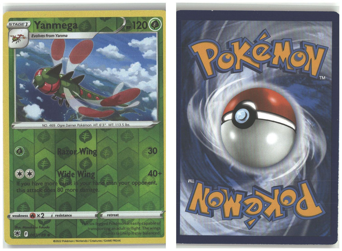 Front + Back scan