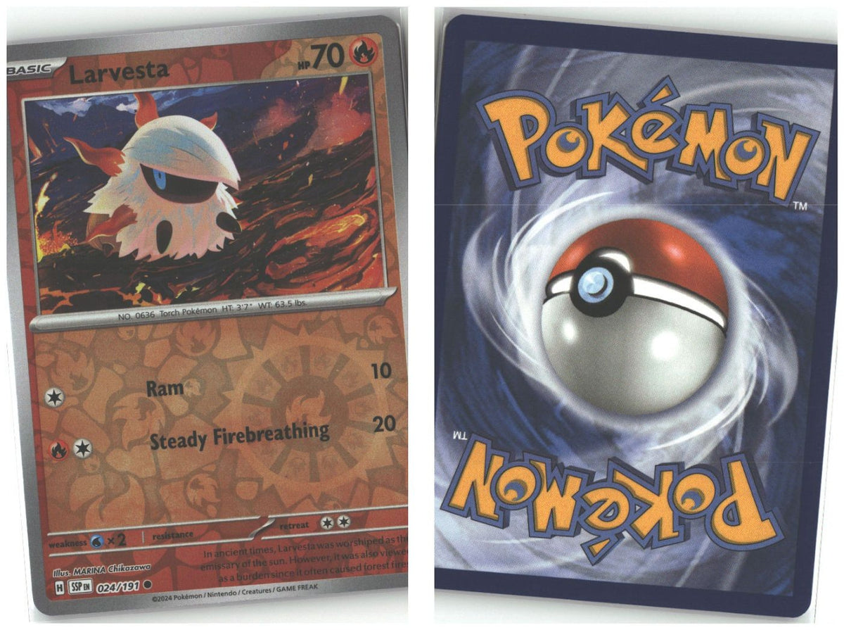 Front + Back scan