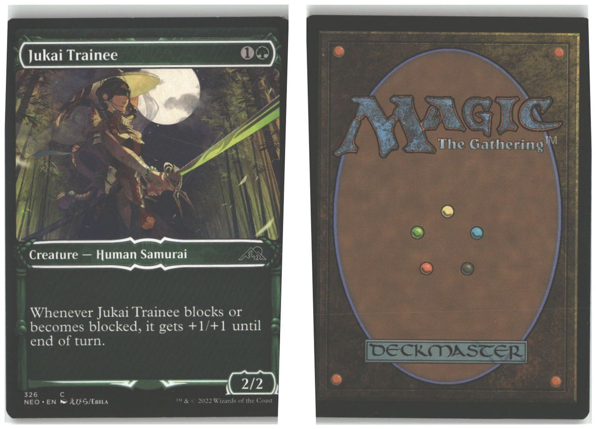 Front + Back scan