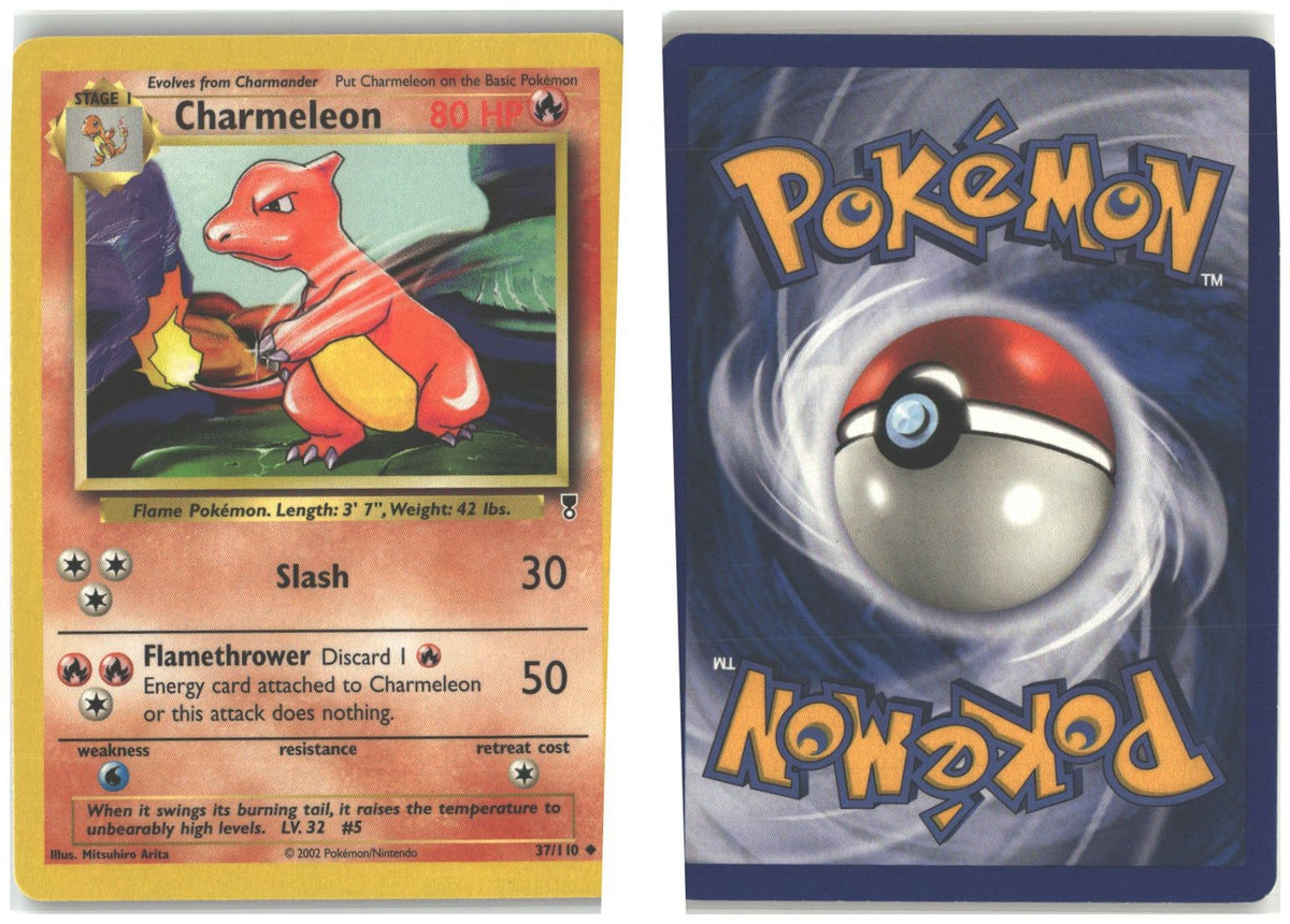 Front + Back scan