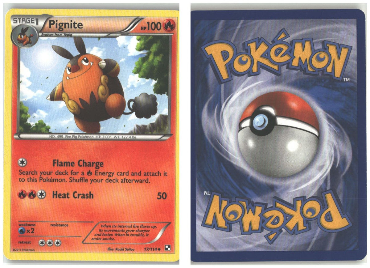Front + Back scan