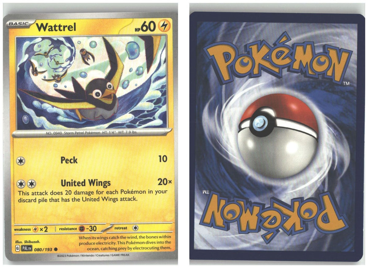 Front + Back scan