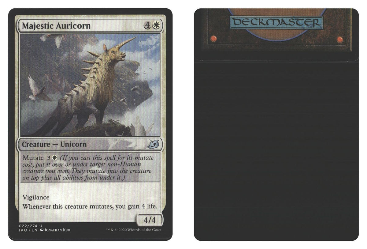 Front + Back scan