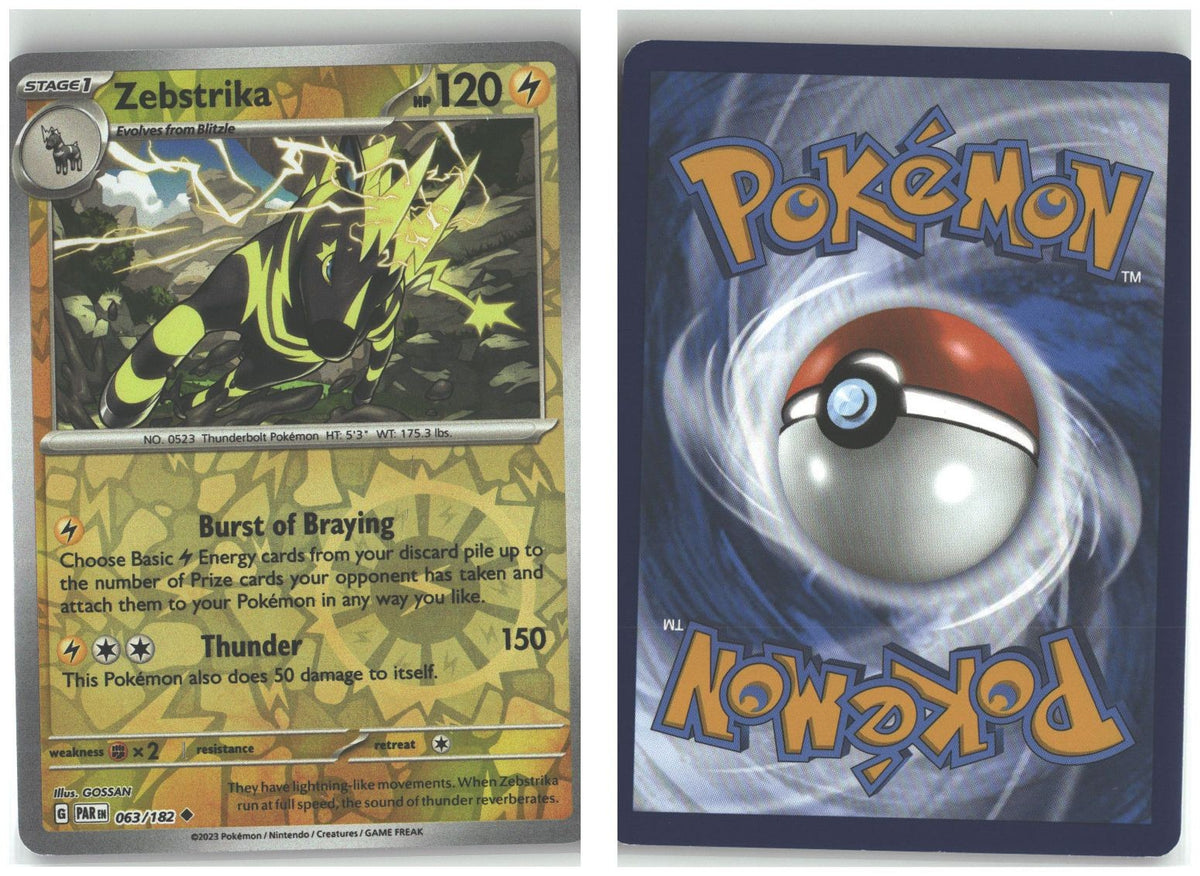 Front + Back scan