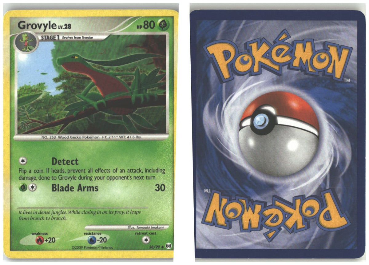 Front + Back scan