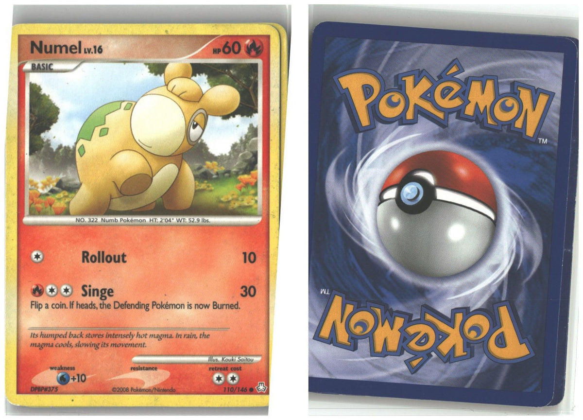 Front + Back scan