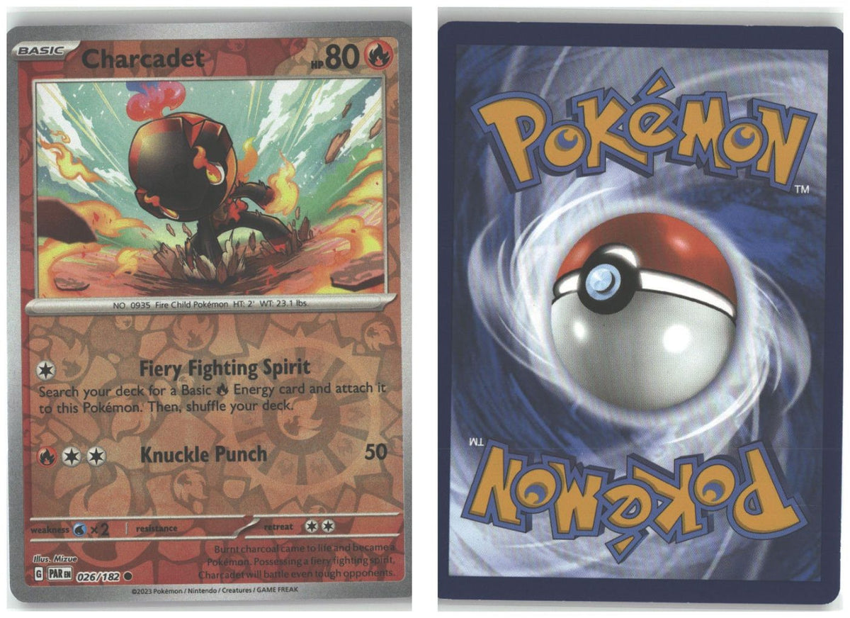 Front + Back scan