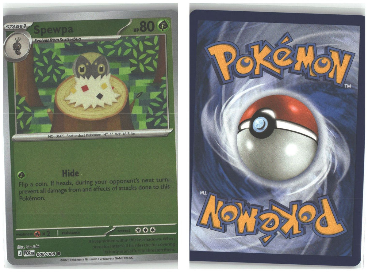 Front + Back scan