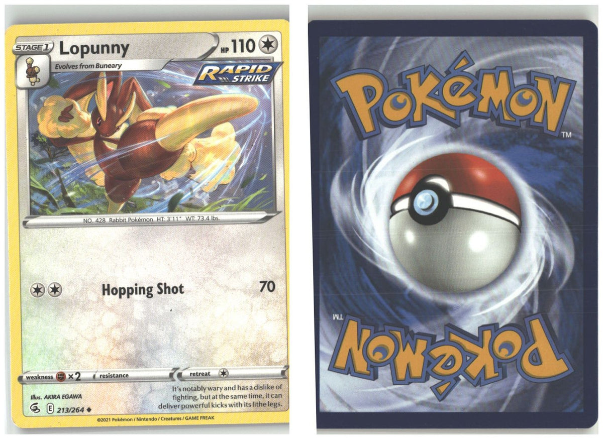 Front + Back scan