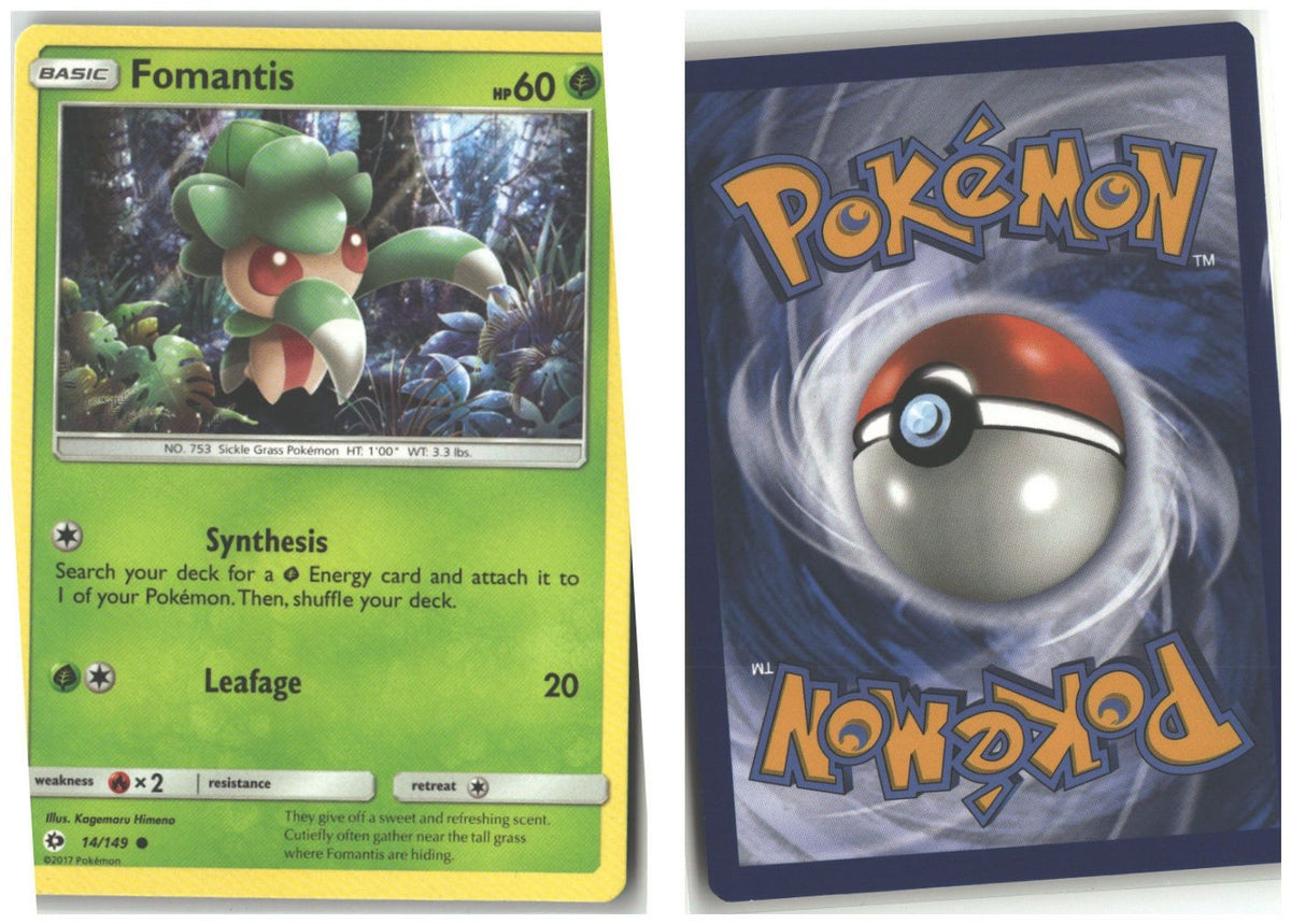 Front + Back scan