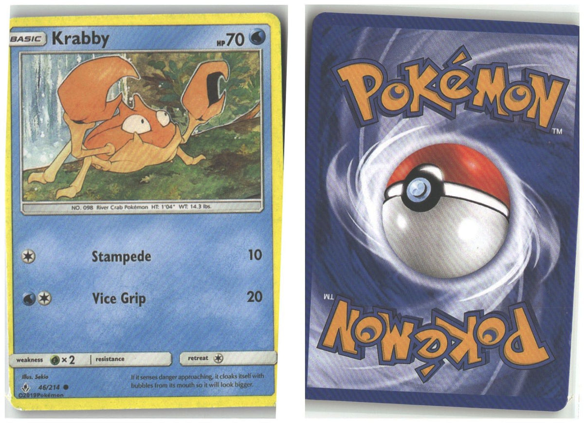 Front + Back scan