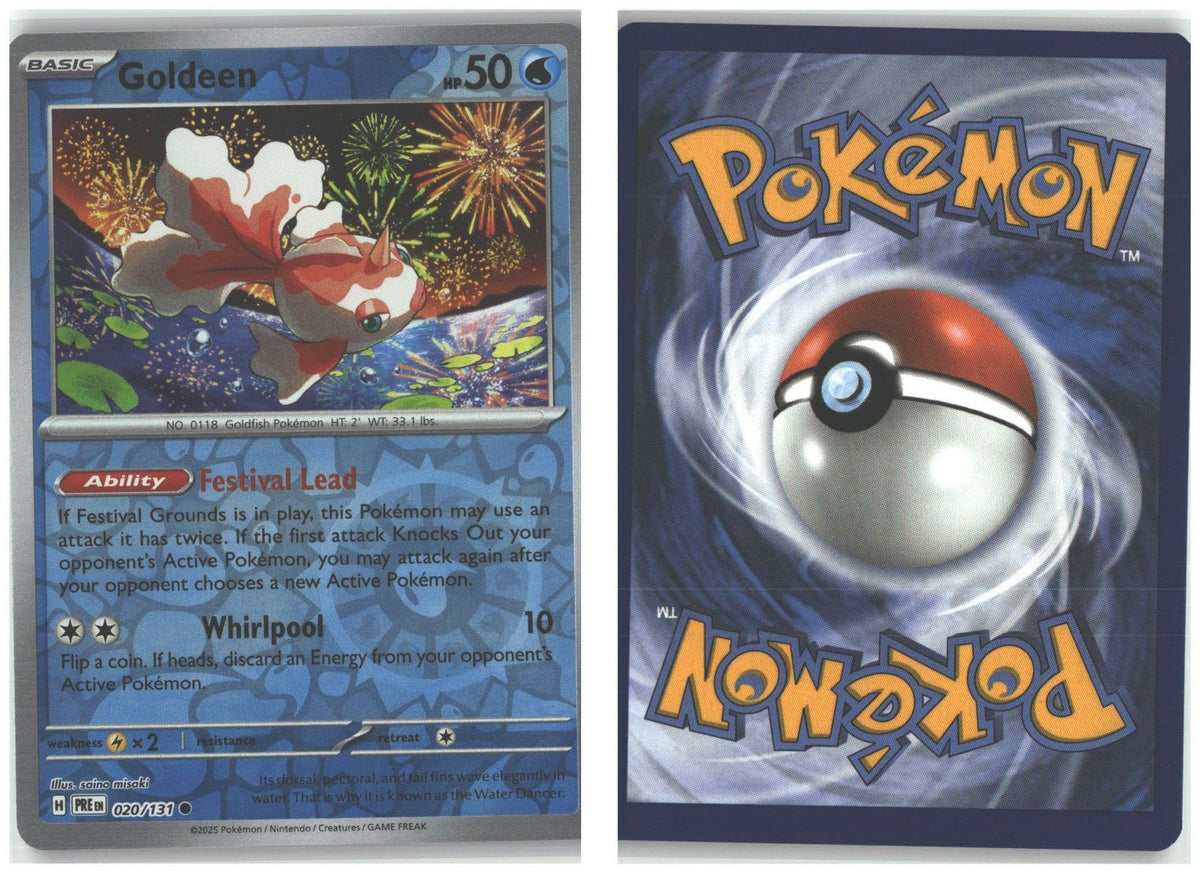 Front + Back scan