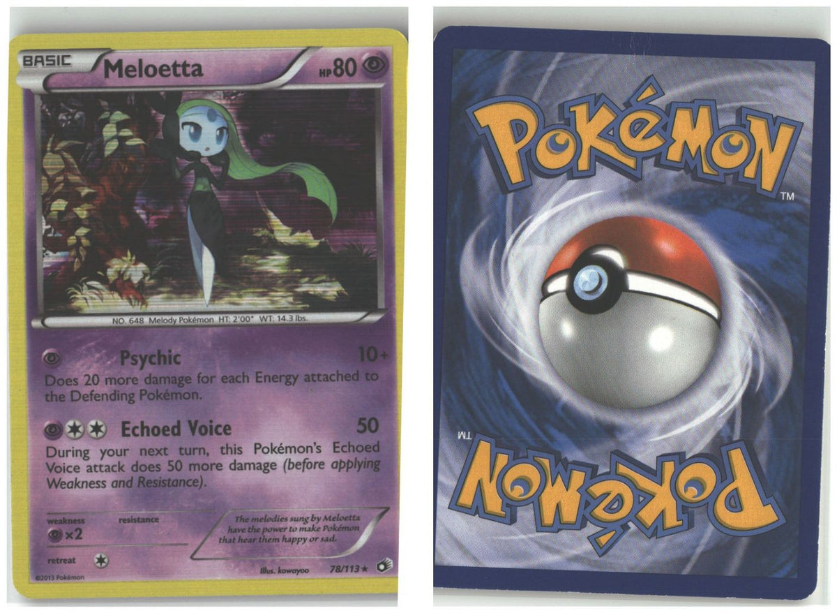 Front + Back scan