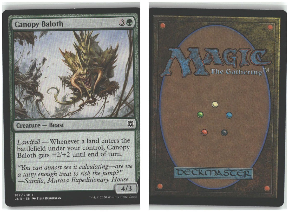 Front + Back scan