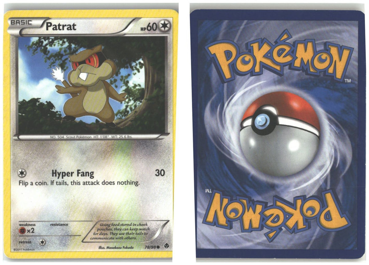 Front + Back scan