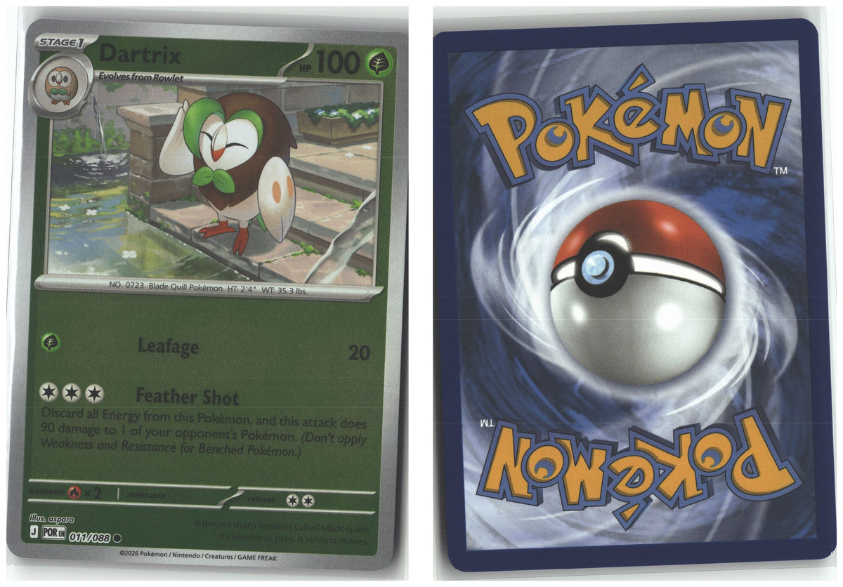 Front + Back scan