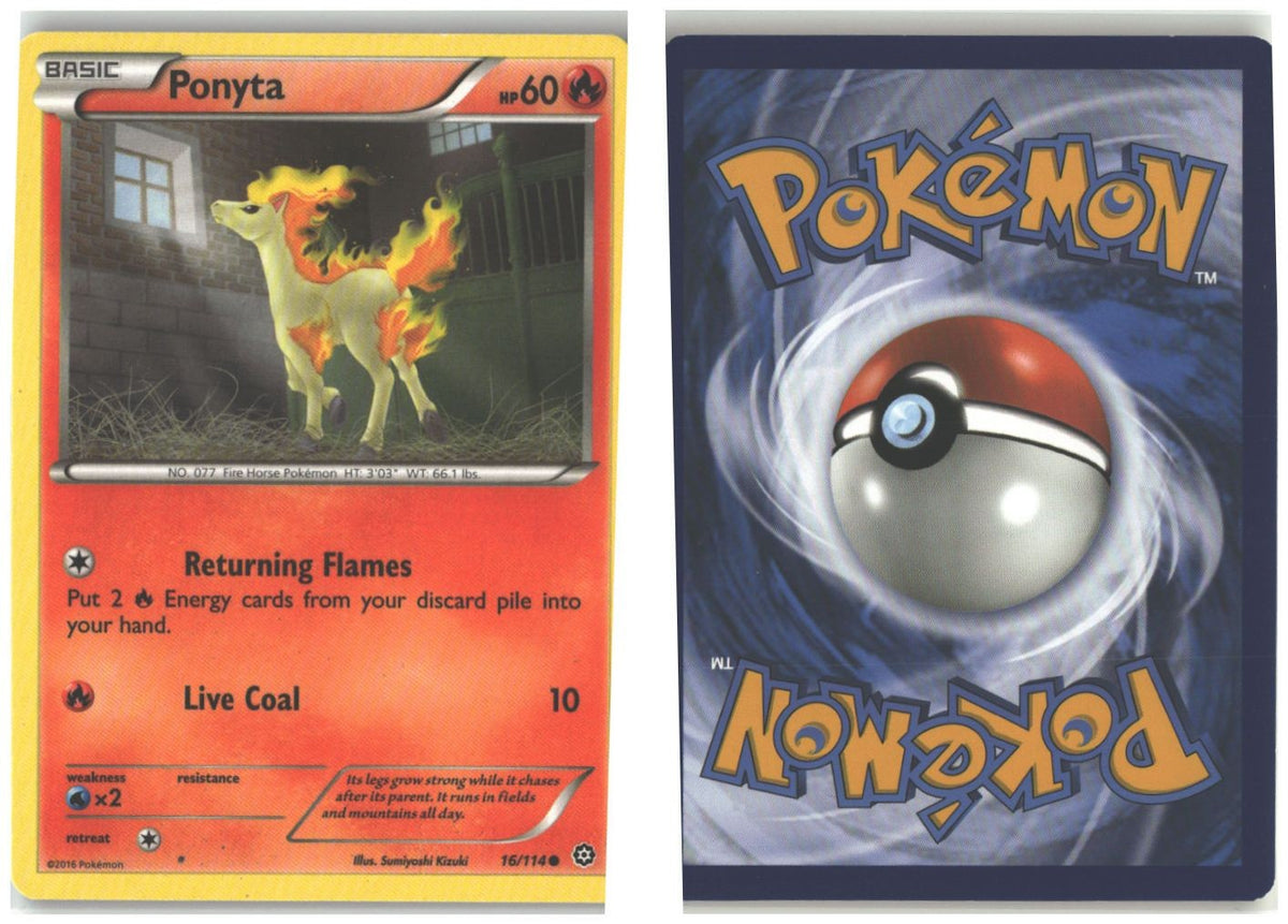 Front + Back scan