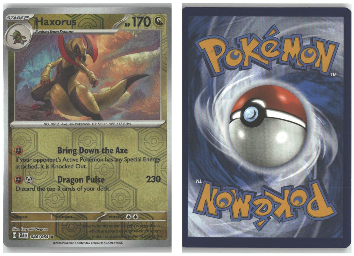 Front + Back scan