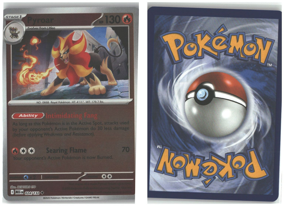 Front + Back scan