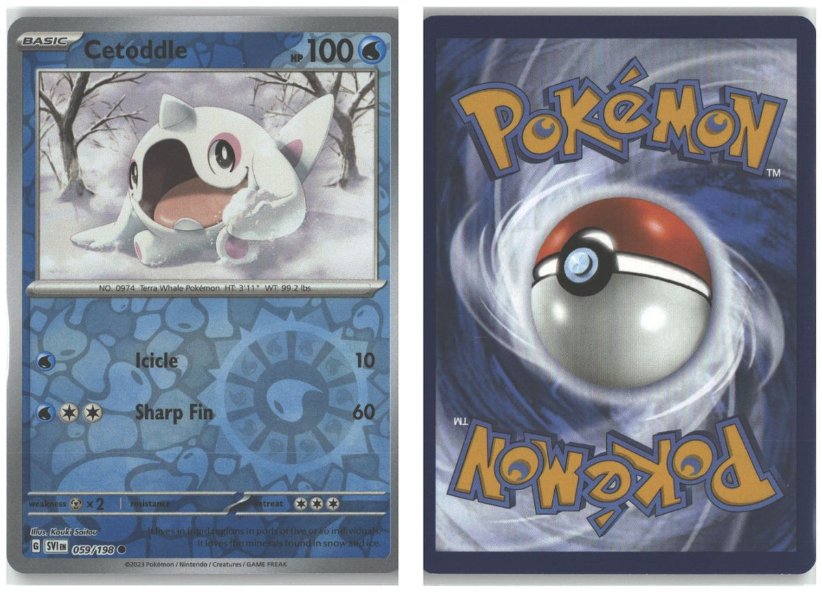 Front + Back scan