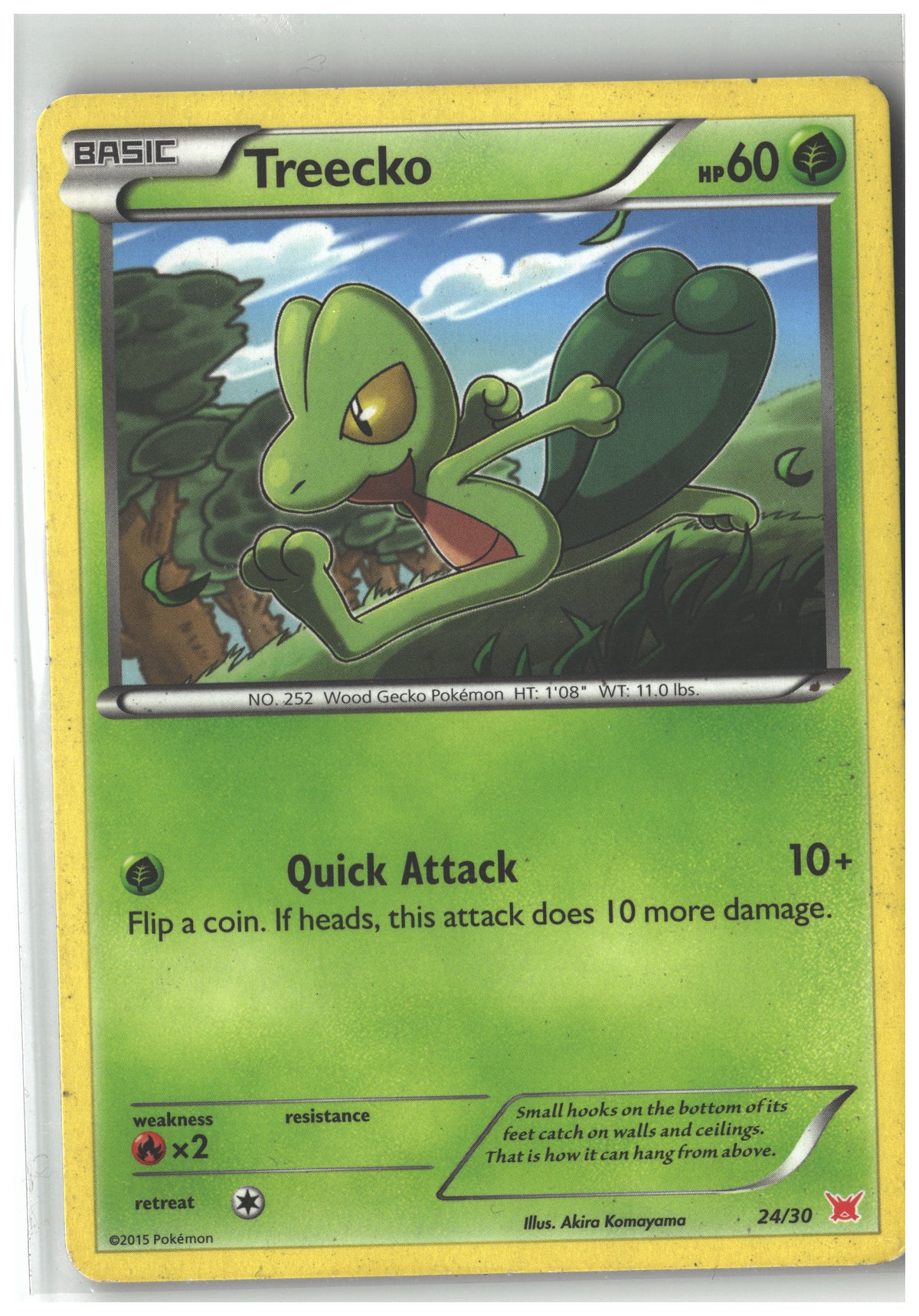 Treecko (#24)